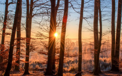 3 Secrets To Emotional Freedom