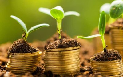 Attracting Financial Abundance